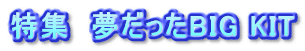 特集　夢だったBIG KIT
